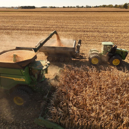 This Combine Is An Absolute Corn-Devouring Monster